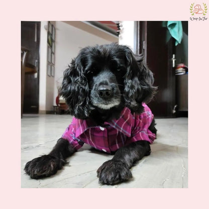Winter Woolen Checkered Dog Shirt – Warm, Stylish & Premium Fit