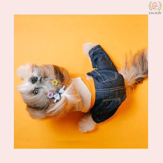 Orange Dog Jumpsuit