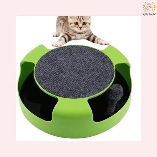 Cat/ Kitten Catch The Moving Interactive Toy